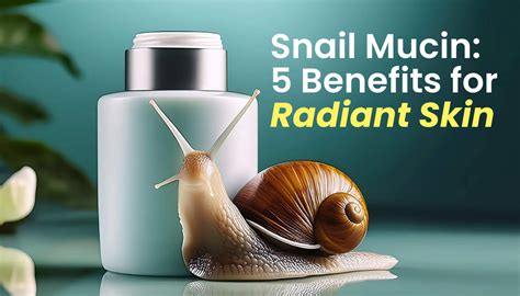 Snail mucin serum for glowing, hydrated skin – highlighting the 5 benefits of snail mucin.